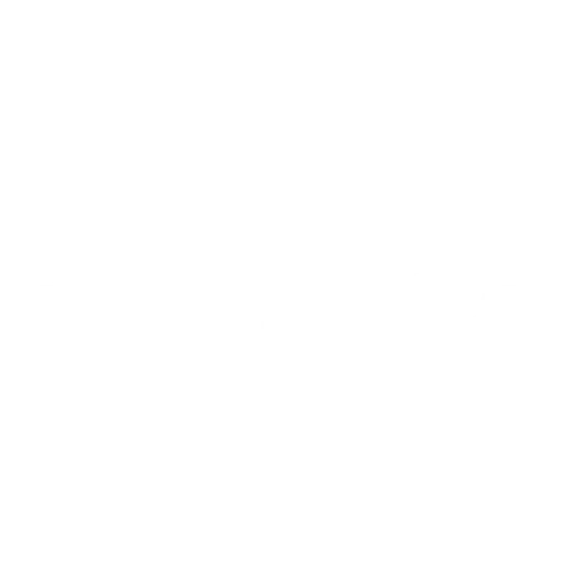 AKIRA salestore
